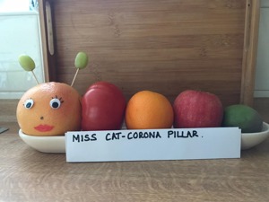 Miss cat corona pillar 2